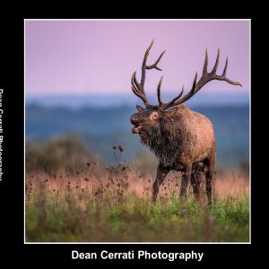 Dean Cerrati Photography 2023 Coffee Table Book