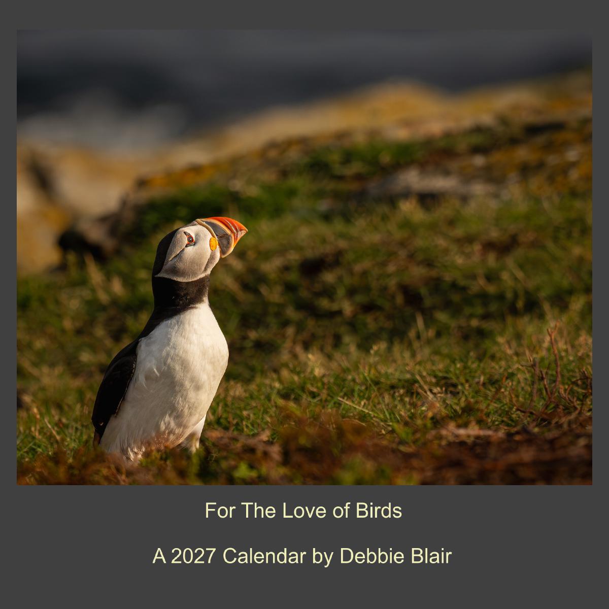 For the Love of Birds 2027 Calendar