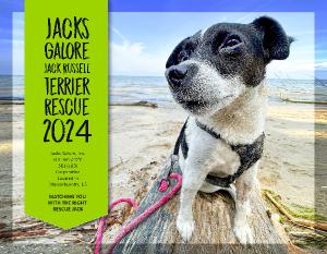 Jacks Galore 2024 Fundraiser Calendar