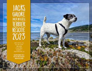 Jacks Galore Jack Russell 2023 Fundraiser Calendar
