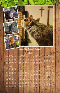 In Memory Of Lucky