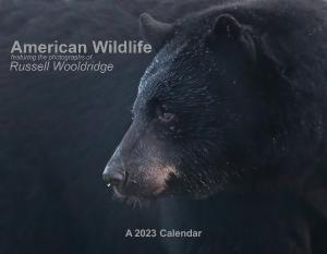 2023 American Wildlife Calendar