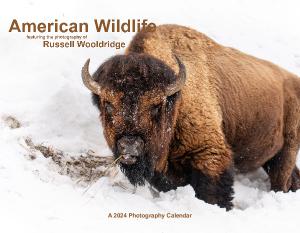 2024 American Wildlife Calendar