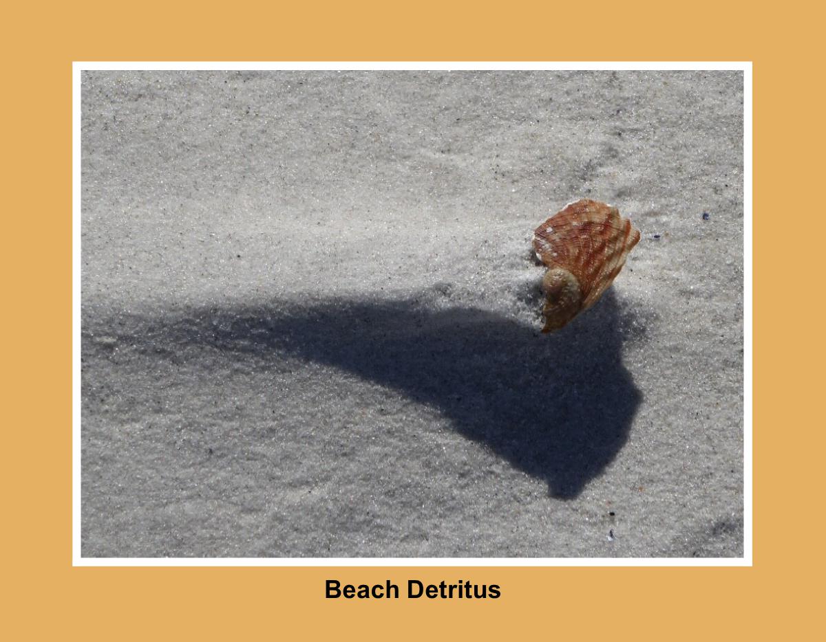 Beach detritus 2027 Calendar