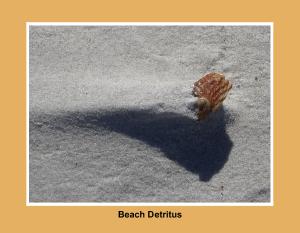 Beach detritus 2027 Calendar