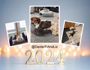 Dexter, Fi, and Liz 2024 Calendar