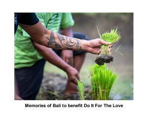 Memories of Bali to Benefit Do It For The Love