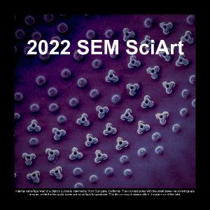 Captioned SEM SciArt Textures Calendar