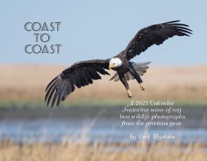 Coast To Coast 2023 Wildlife Calendar