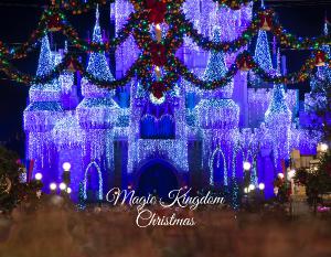 Magic Kingdom Christmas