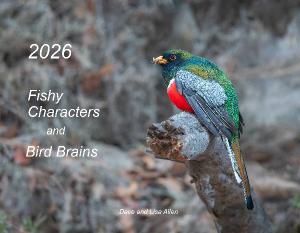 2026 Fishy Characters and Bird Brains