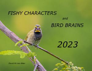 2023 Fishy Characters and Bird Brains