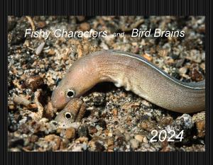 2024 Fishy Characters and Bird Brains