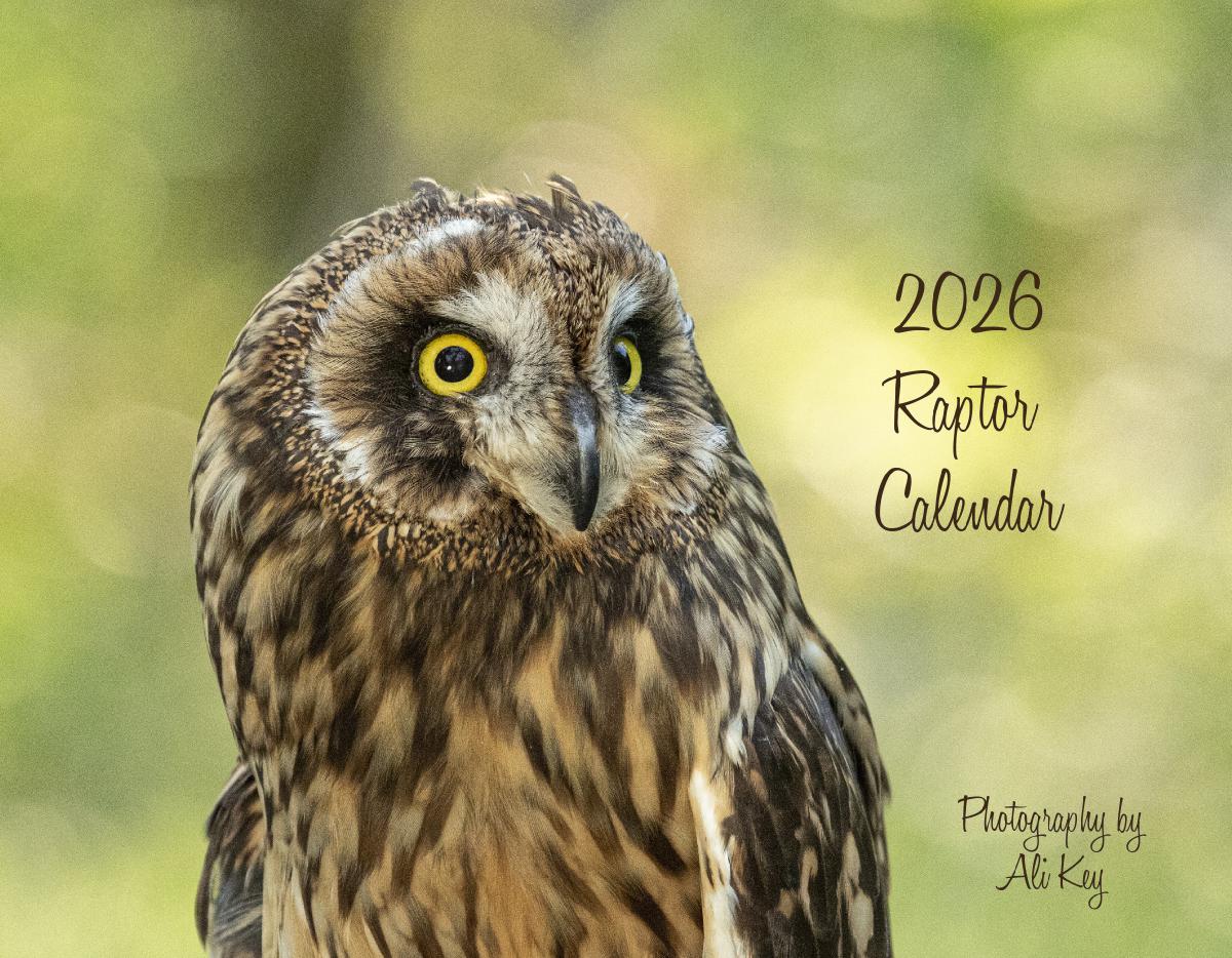 Raptor Calendar by Ali Key