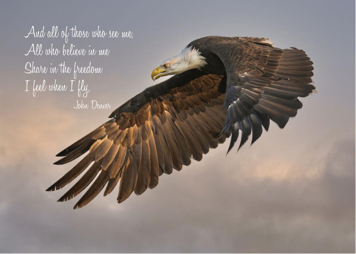 Eagle Card with John Denver Quote