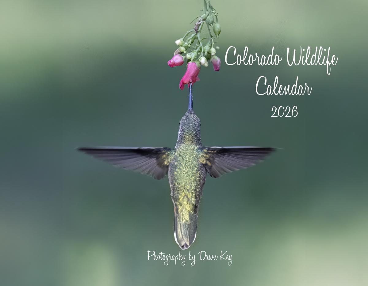 Colorado Wildlife Calendar 2026