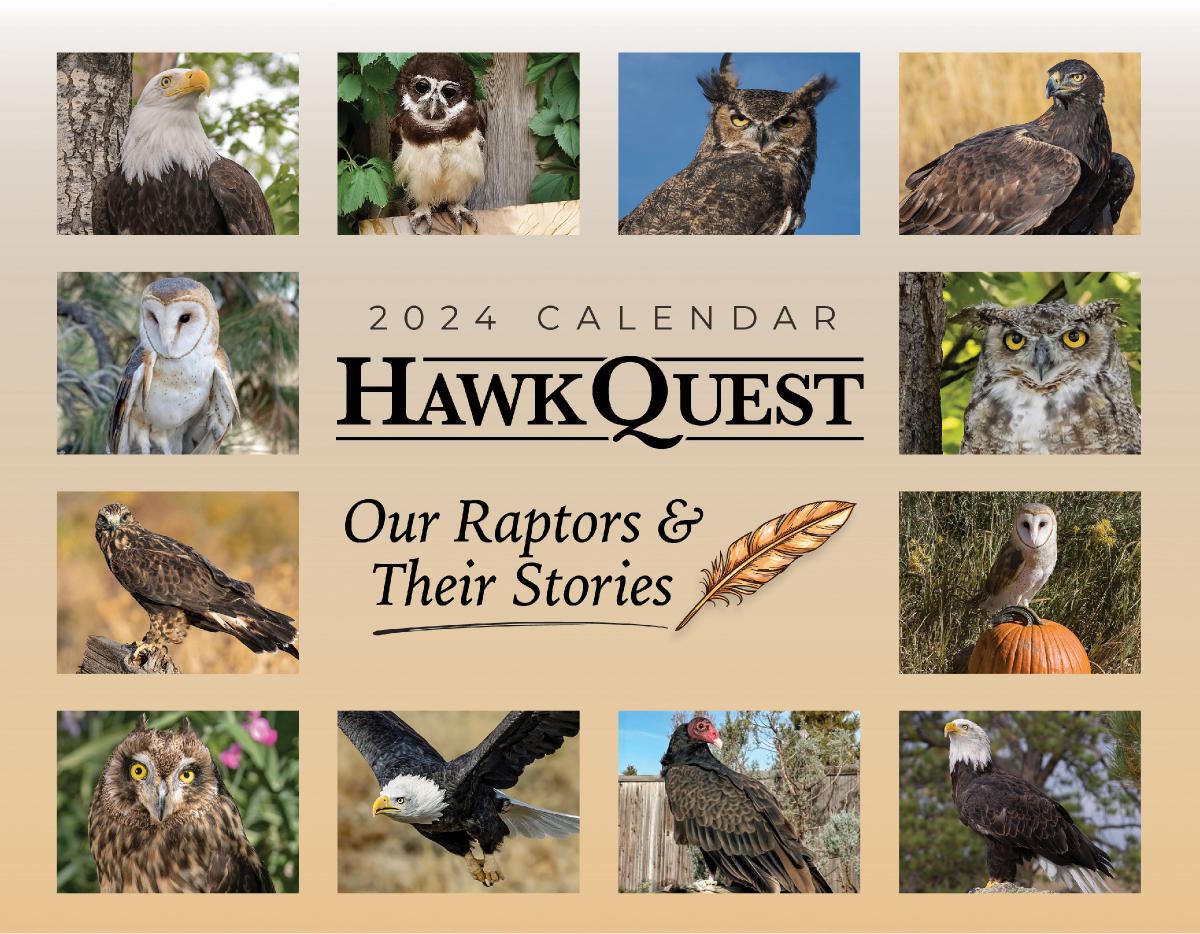 HawkQuests Raptors & Their Stories