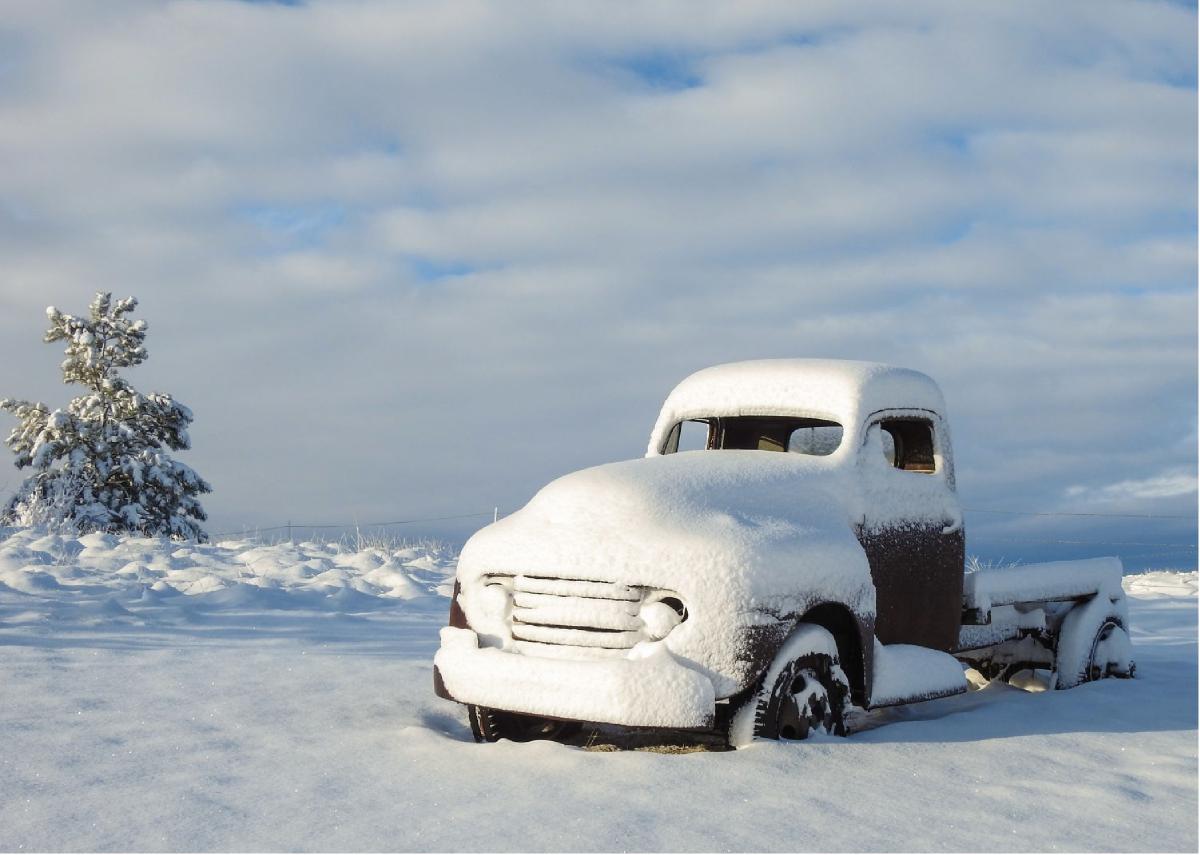 Cool Ride