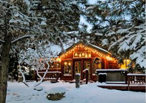 Snowy Cabin Lights