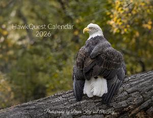HawkQuest Calendar 2026