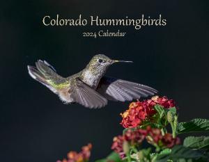 Colorado Hummingbirds 2024