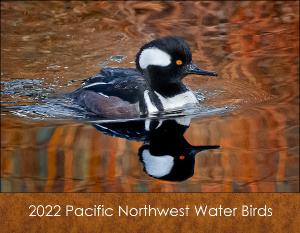 2022 PNW Water Birds