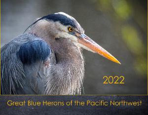 2022 Great Blue Herons