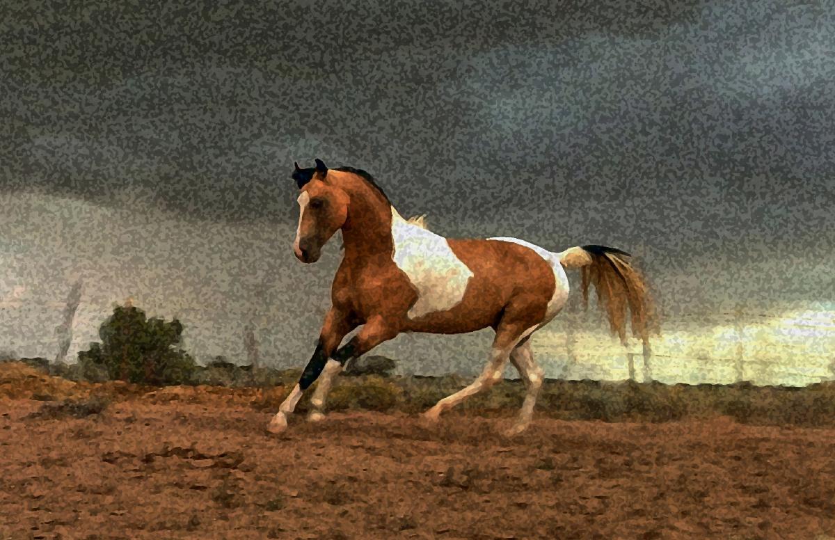 Daz in the Storm