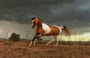 Daz in the Storm
