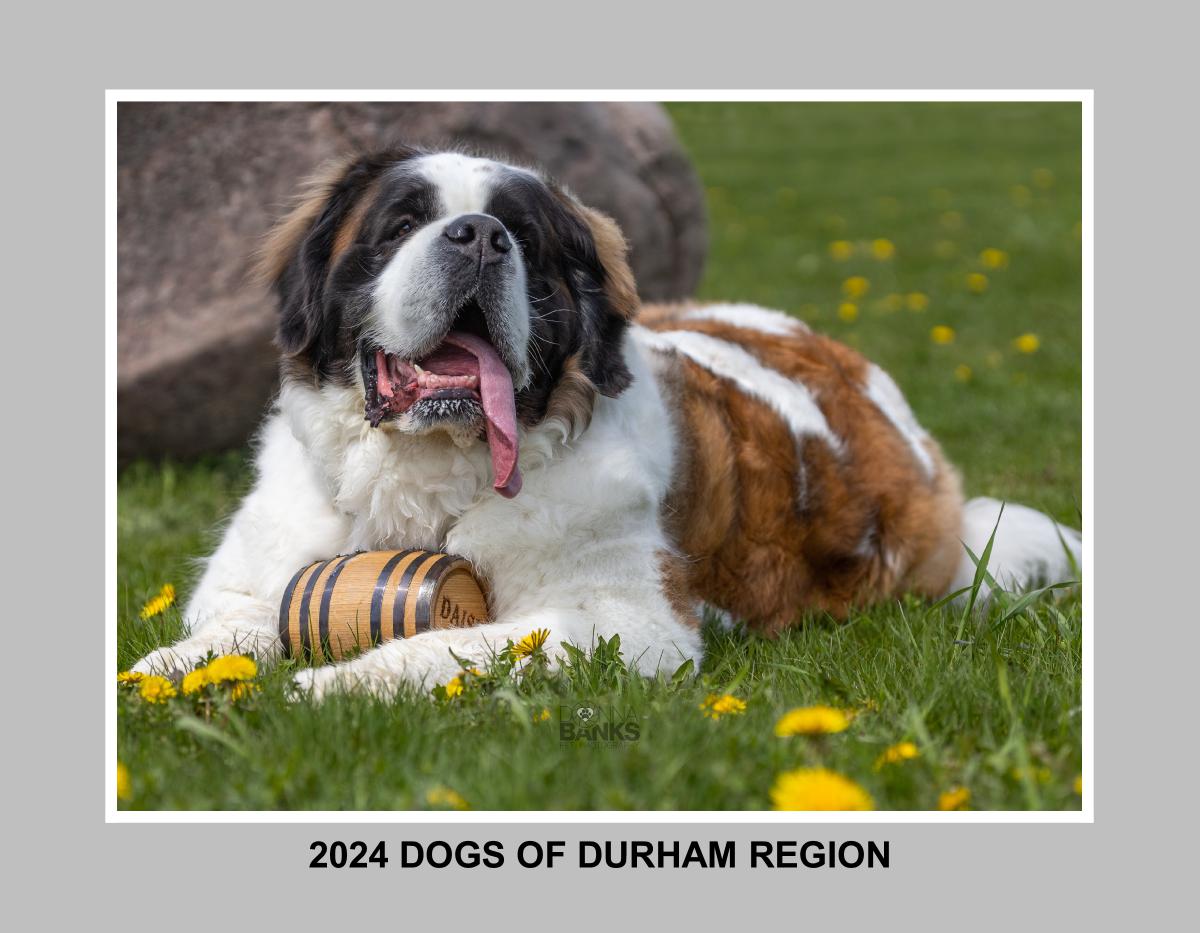 2024 Dogs of Durham Region