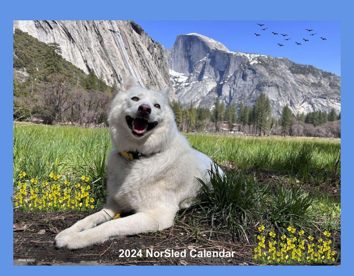 2024 NorSled Calendar
