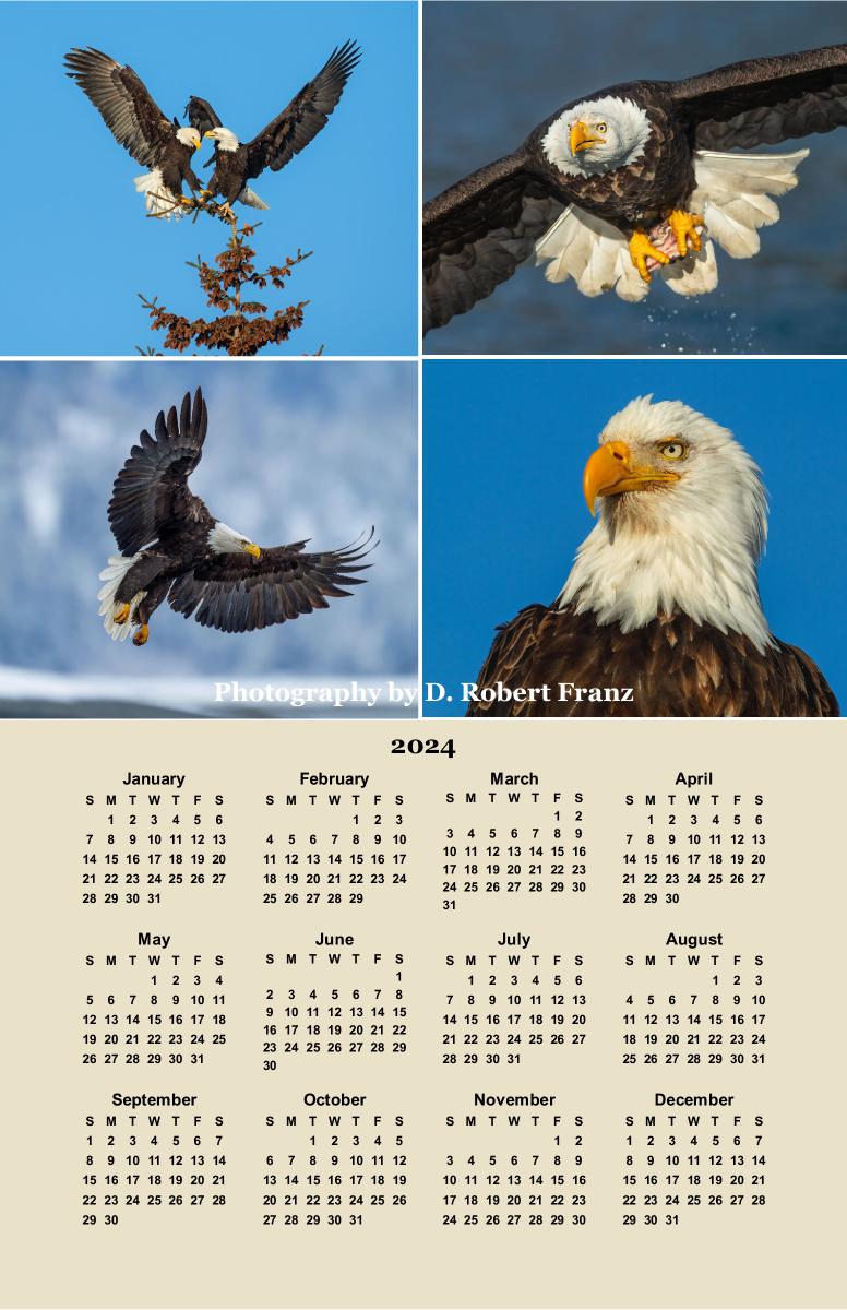 Bald Eagle Poster Calendar