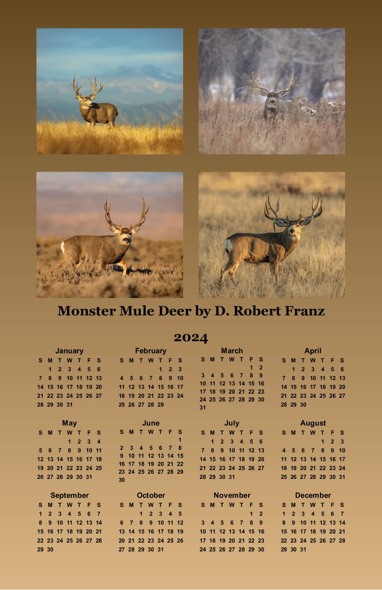 Monster Mule Deer by D.Robert Franz
