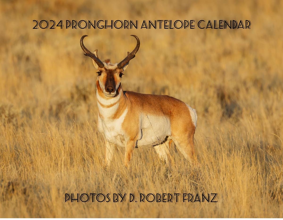 2024 Pronghorn Antelope Wall Calendar