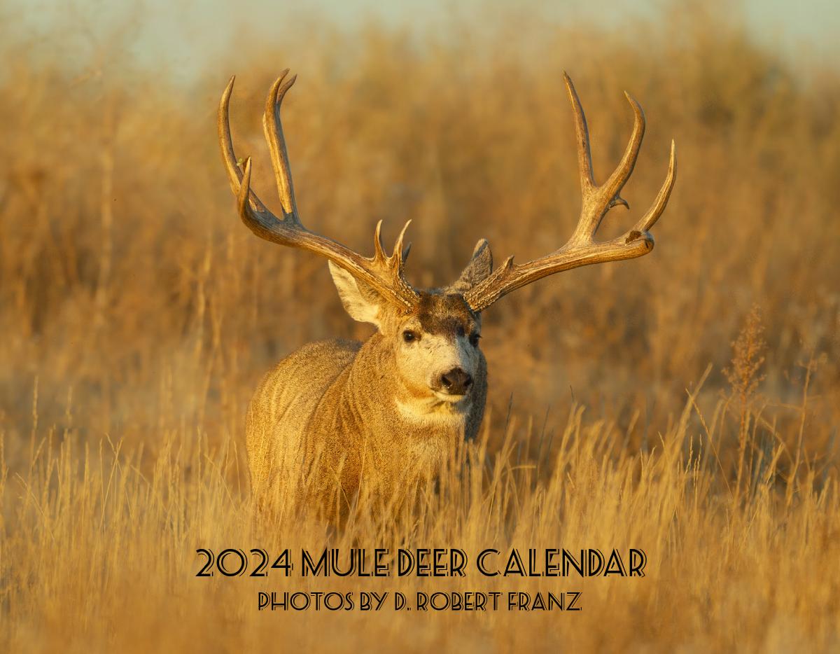 Mule Deer Wall Calendar