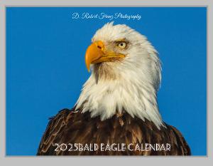 2024 Bald Eagle Wall Calendar