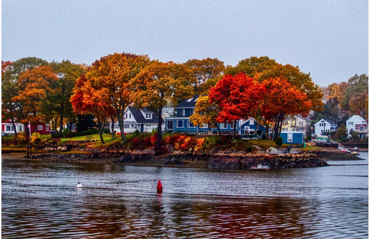 Salter's Point Autumn Poster