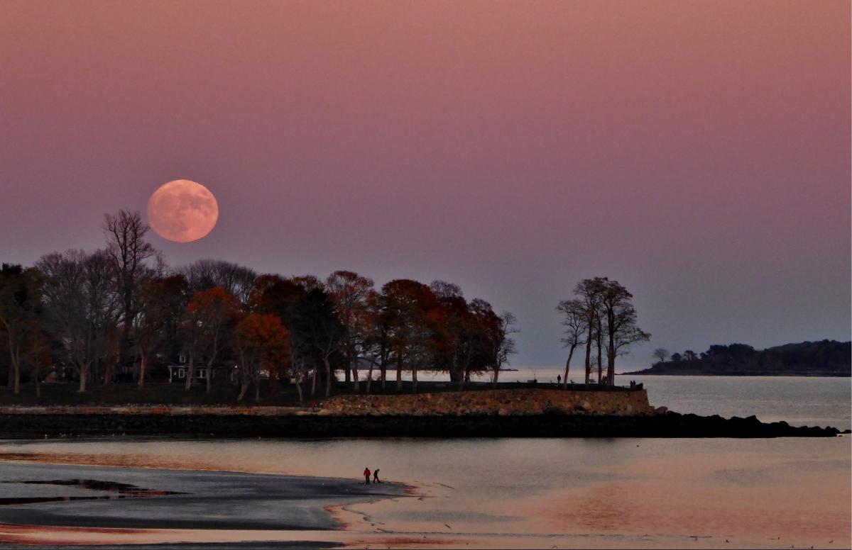Moonrise Over Lynch Park Poster