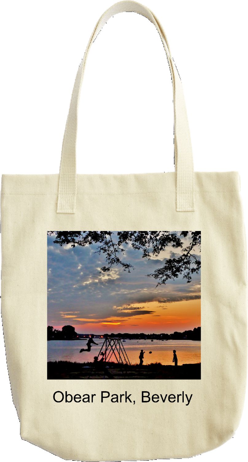 Obear Park Tote Bag
