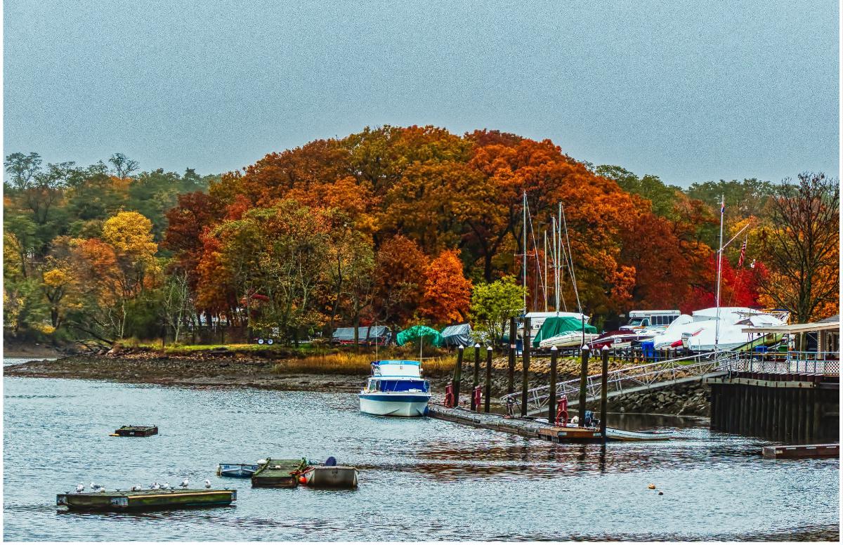 Bass Haven Yacht Club in Autumn Poster