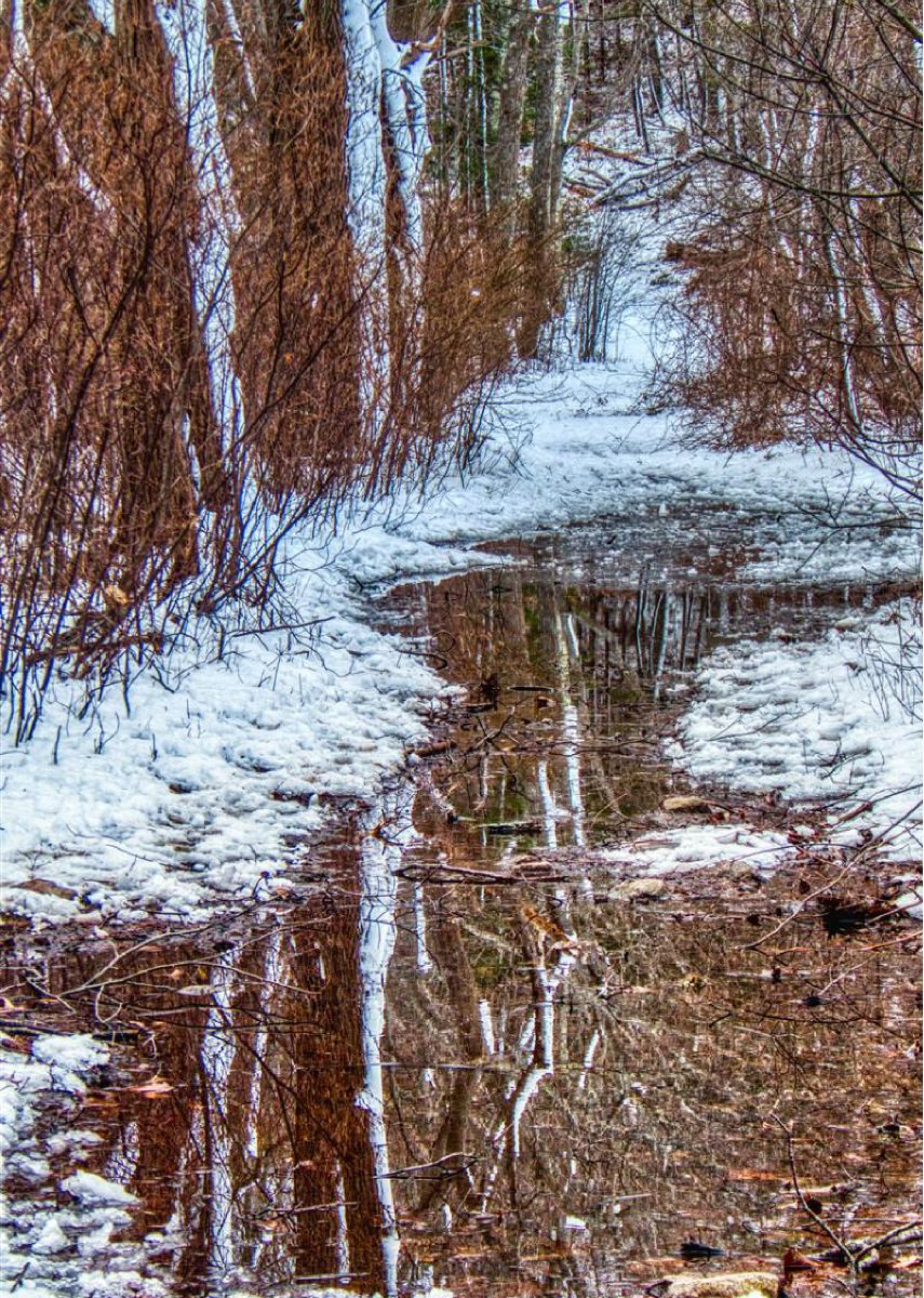 Flooded Bald Hill Trail in Winter