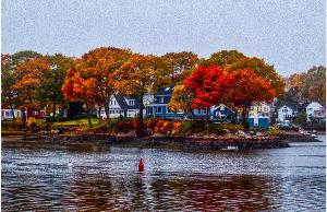 Salter's Point Autumn Poster