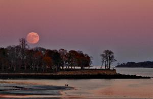Moonrise Over Lynch Park Poster