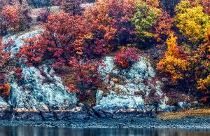 Tanzella's Hill Autumn Poster