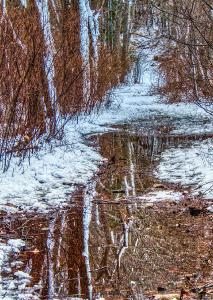 Flooded Bald Hill Trail in Winter