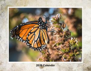2026 Animal Calendar
