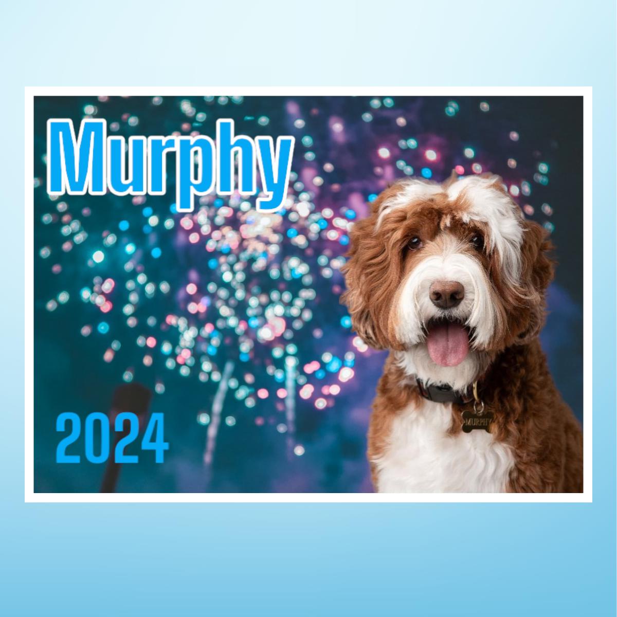 Murphy 2024 Wall Calendar 12 x 12
