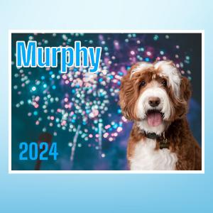 Murphy 2024 Wall Calendar 12 x 12