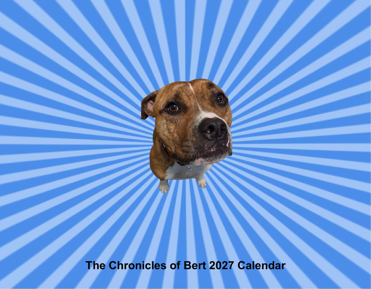 The Chronicles of Bert 2027 Wall Calendar