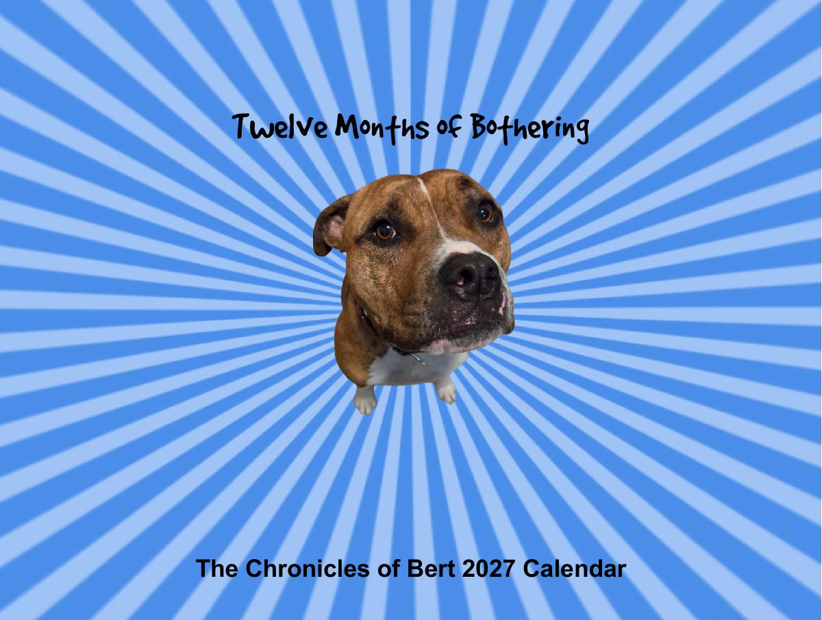The Chronicles of Bert 2027 Wall Calendar